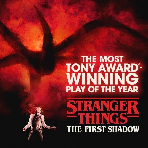 기묘한 이야기 : 첫 그림자 Stranger Things: The First Shadow 소개