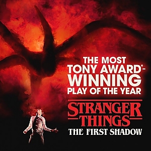 기묘한 이야기 : 첫 그림자 Stranger Things: The First Shadow